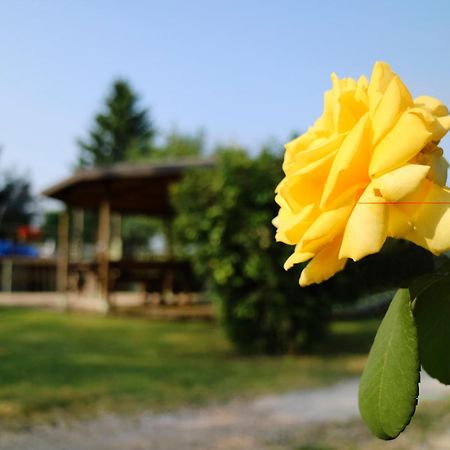 Agriturismo Ai Vigneti Ponti sul Mincio Exterior foto
