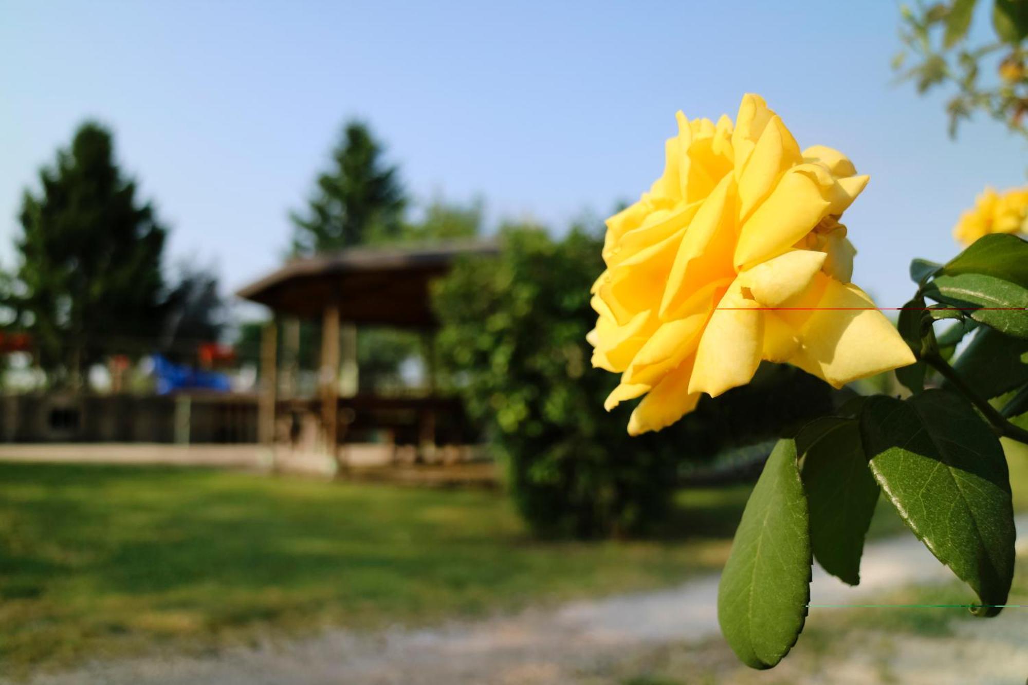 Agriturismo Ai Vigneti Ponti sul Mincio Exterior foto